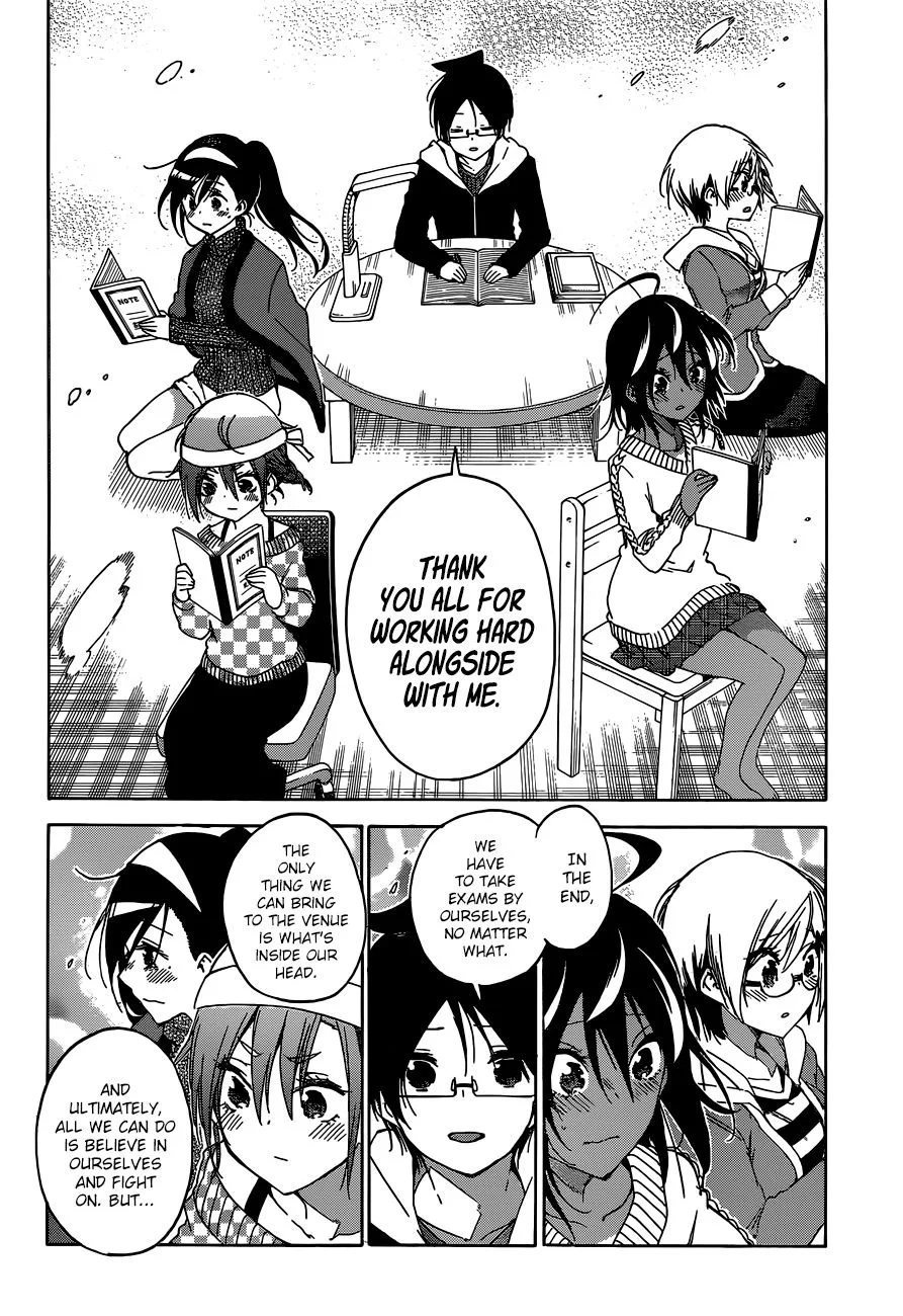 Bokutachi wa Benkyou ga Dekinai Chapter 139 page 17