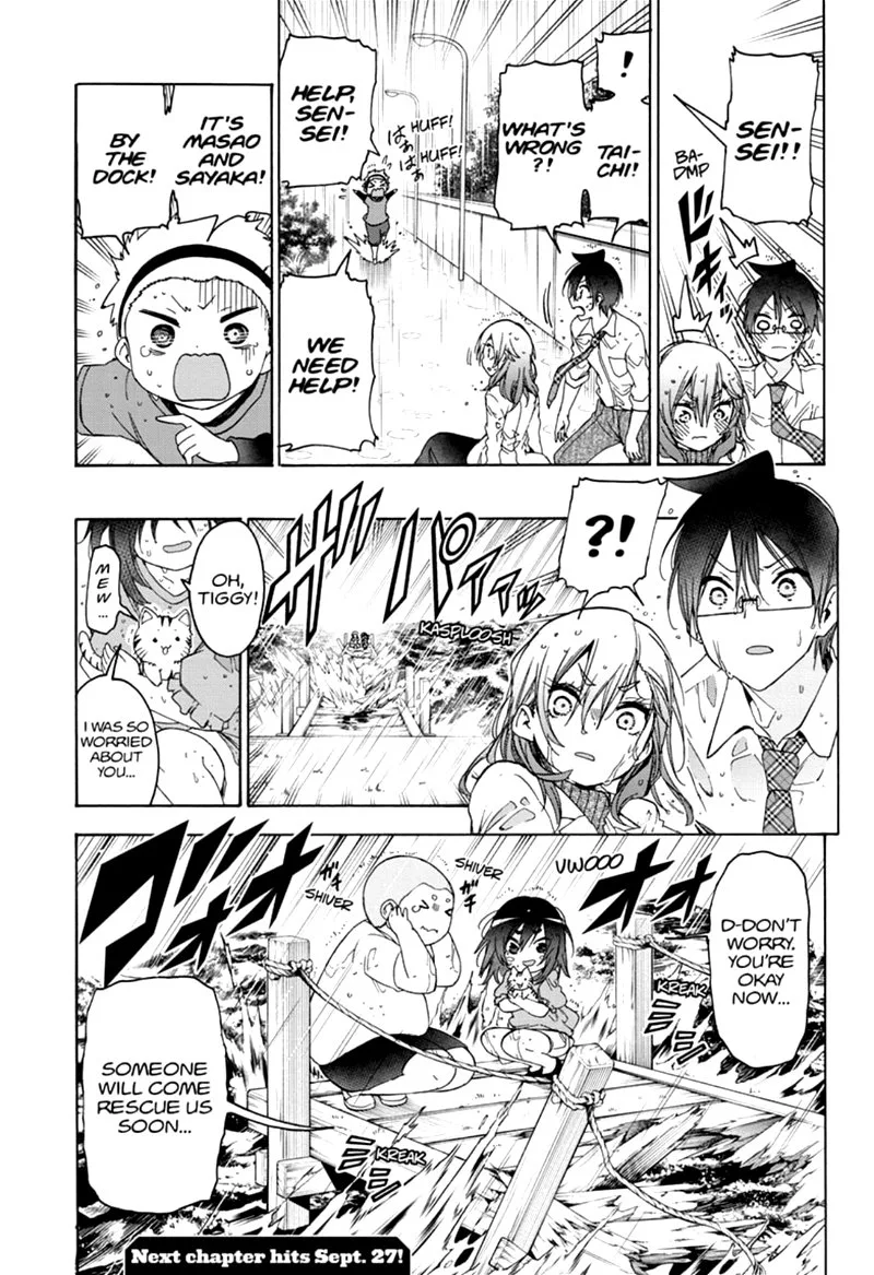 Bokutachi wa Benkyou ga Dekinai Chapter 174 page 19