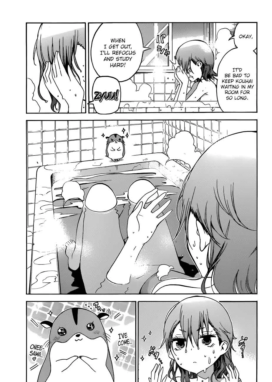 Bokutachi wa Benkyou ga Dekinai Chapter 71 page 17