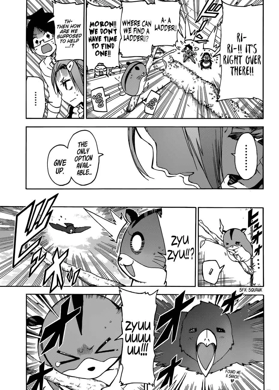Bokutachi wa Benkyou ga Dekinai Chapter 71 page 13