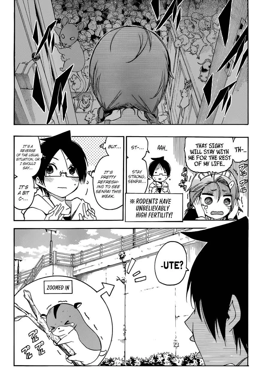 Bokutachi wa Benkyou ga Dekinai Chapter 71 page 12