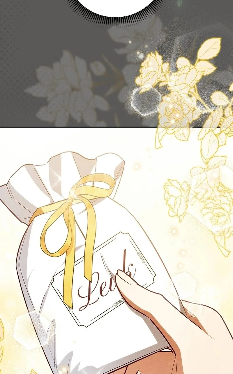 Born to Be the Grand Duchess Chapter 25 page 73