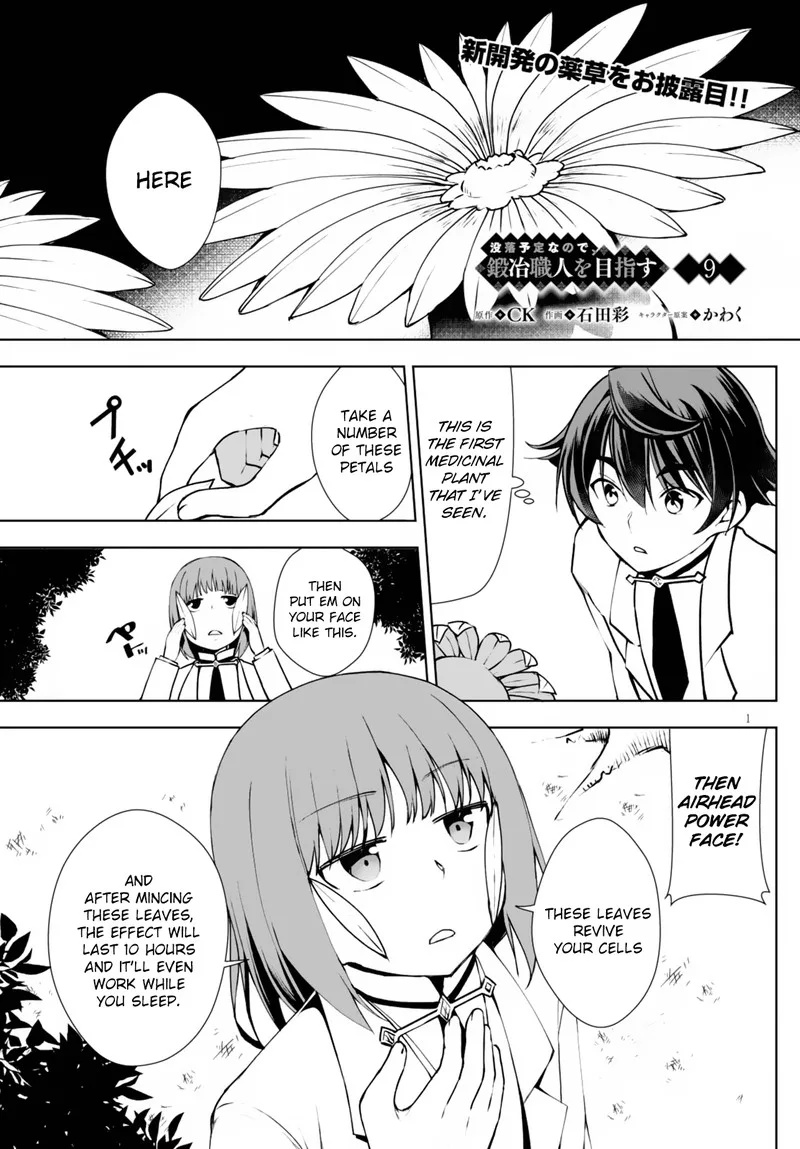 Botsuraku Youtei Nanode, Kajishokunin wo Mezasu Chapter 9 page 1