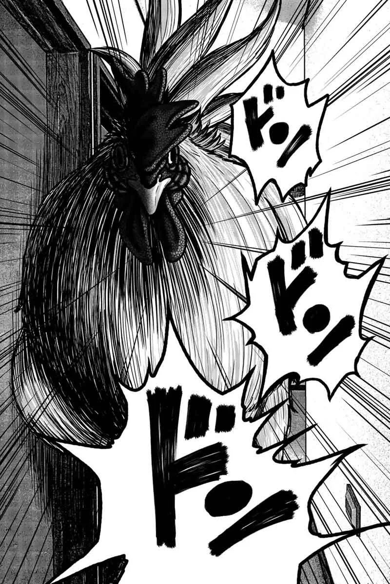 Bougyaku no Kokekko Chapter 12 page 17
