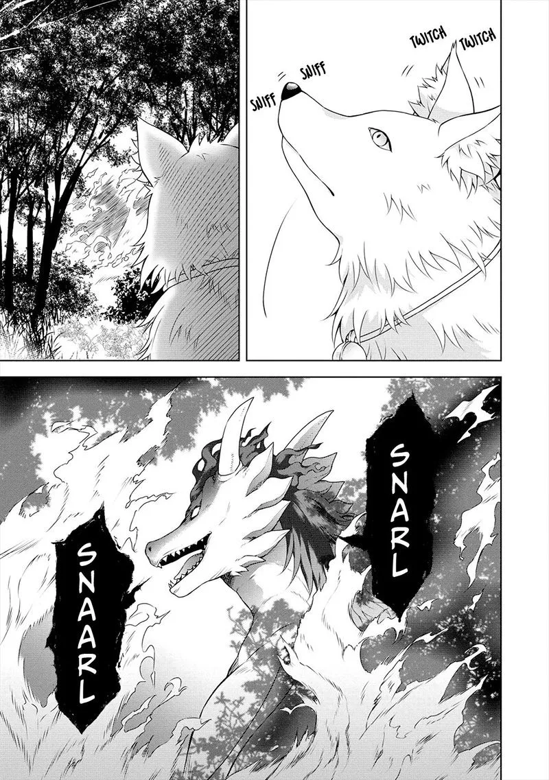 Cheat Kusushi no Slow Life: Isekai ni Tsukurou Drugstore Chapter 16 page 17