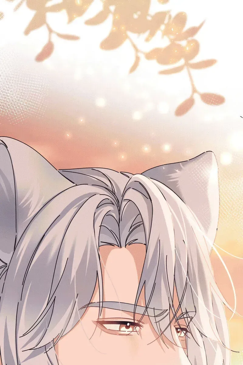 Chéngwéi Bàojūn de Tìjià Xīnniáng Chapter 1 page 61
