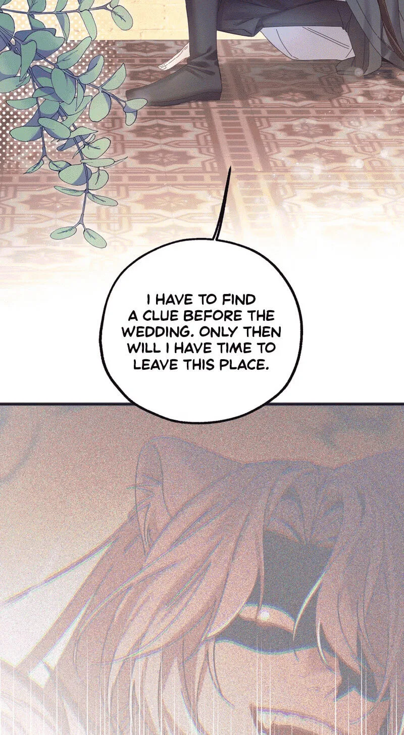 Chéngwéi Bàojūn de Tìjià Xīnniáng Chapter 2 page 28