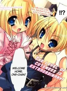 Cherry X Cherry cover