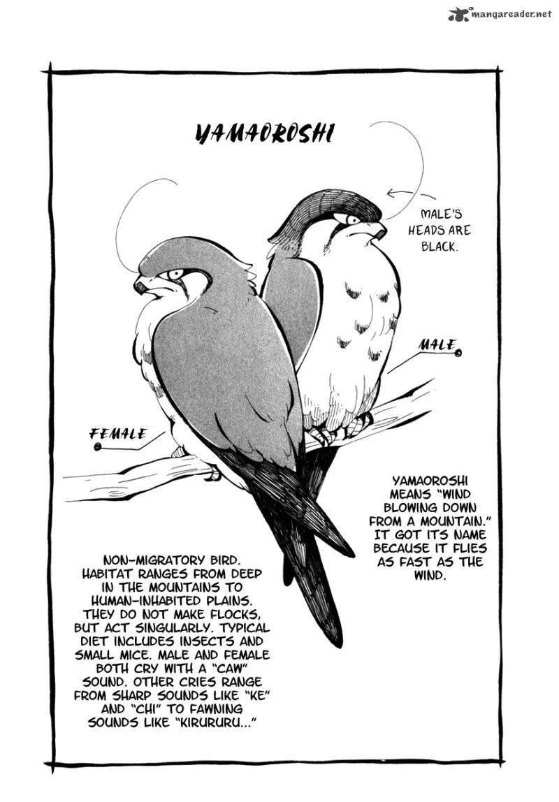 Chichikogusa Chapter 30 page 33