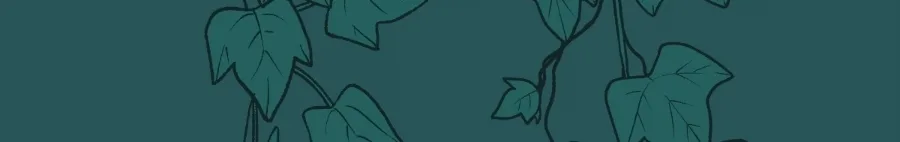 Cinderella Heel Chapter 52 page 64
