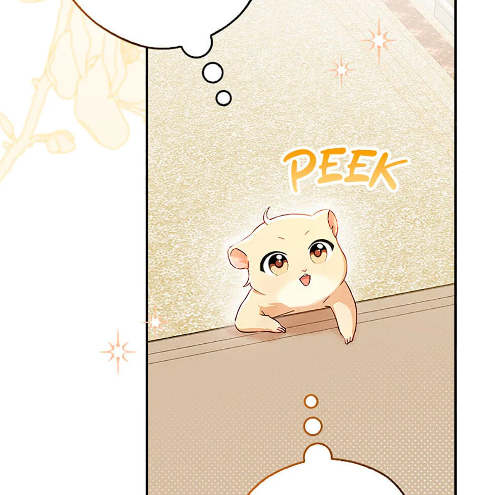 Cinderella's Pocket-Sized Protector Chapter 1 page 114
