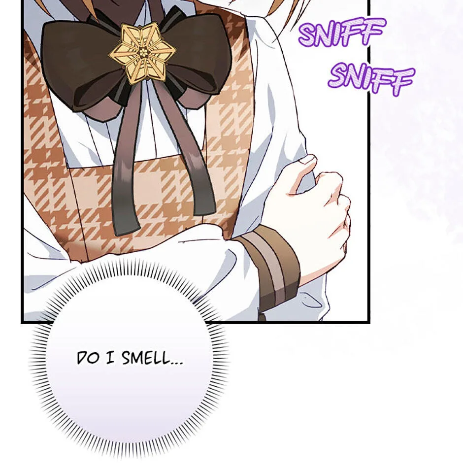 Cinderella's Pocket-Sized Protector Chapter 10 page 19