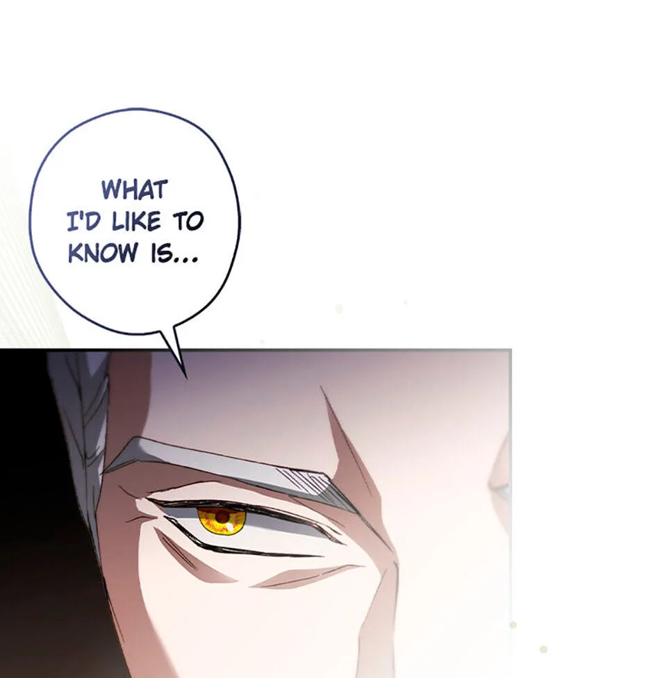 Cinderella's Pocket-Sized Protector Chapter 11 page 63
