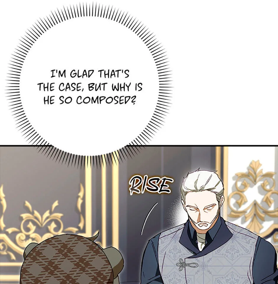 Cinderella's Pocket-Sized Protector Chapter 12 page 19