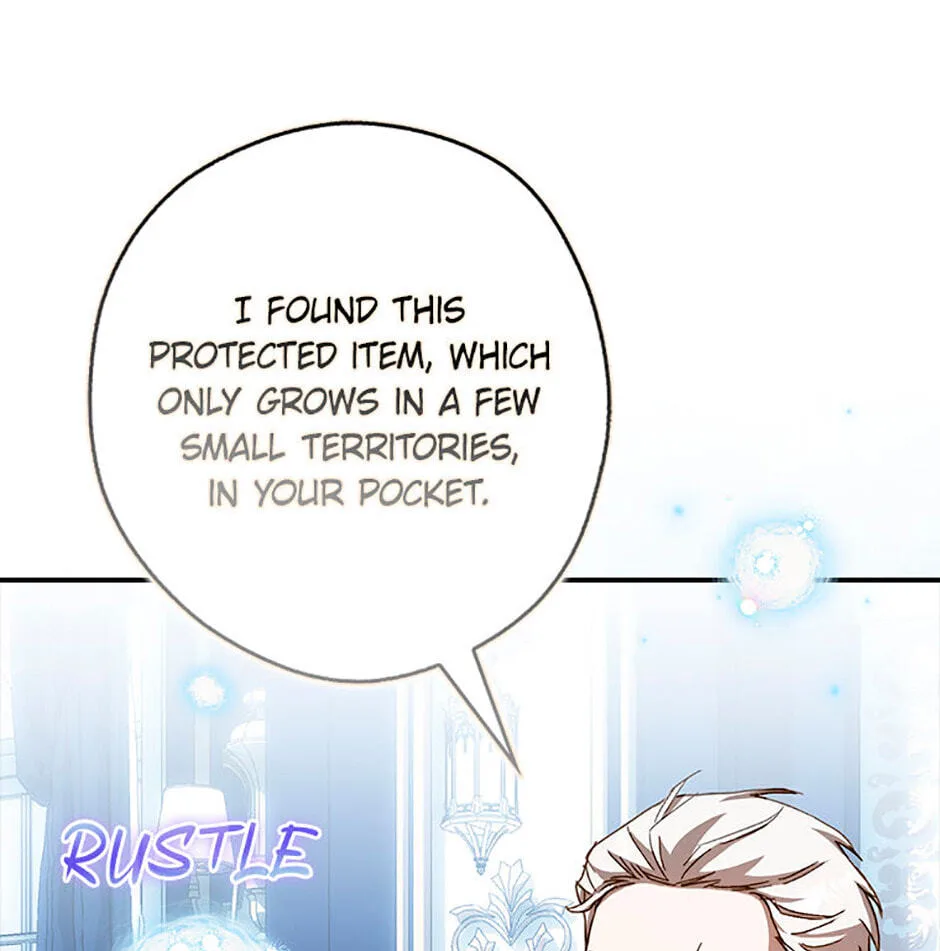 Cinderella's Pocket-Sized Protector Chapter 16 page 8