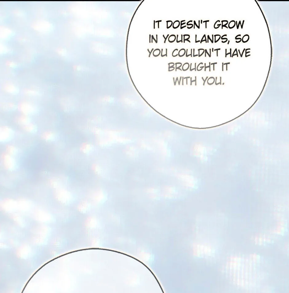 Cinderella's Pocket-Sized Protector Chapter 16 page 10