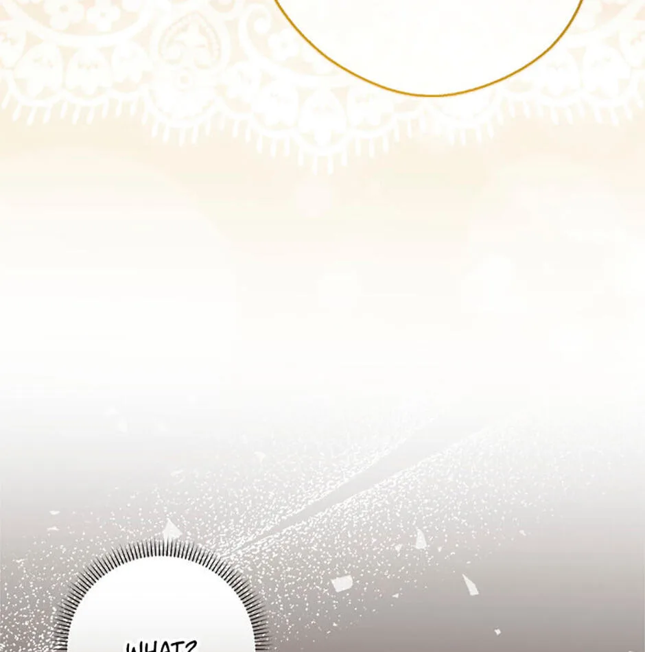 Cinderella's Pocket-Sized Protector Chapter 16 page 19