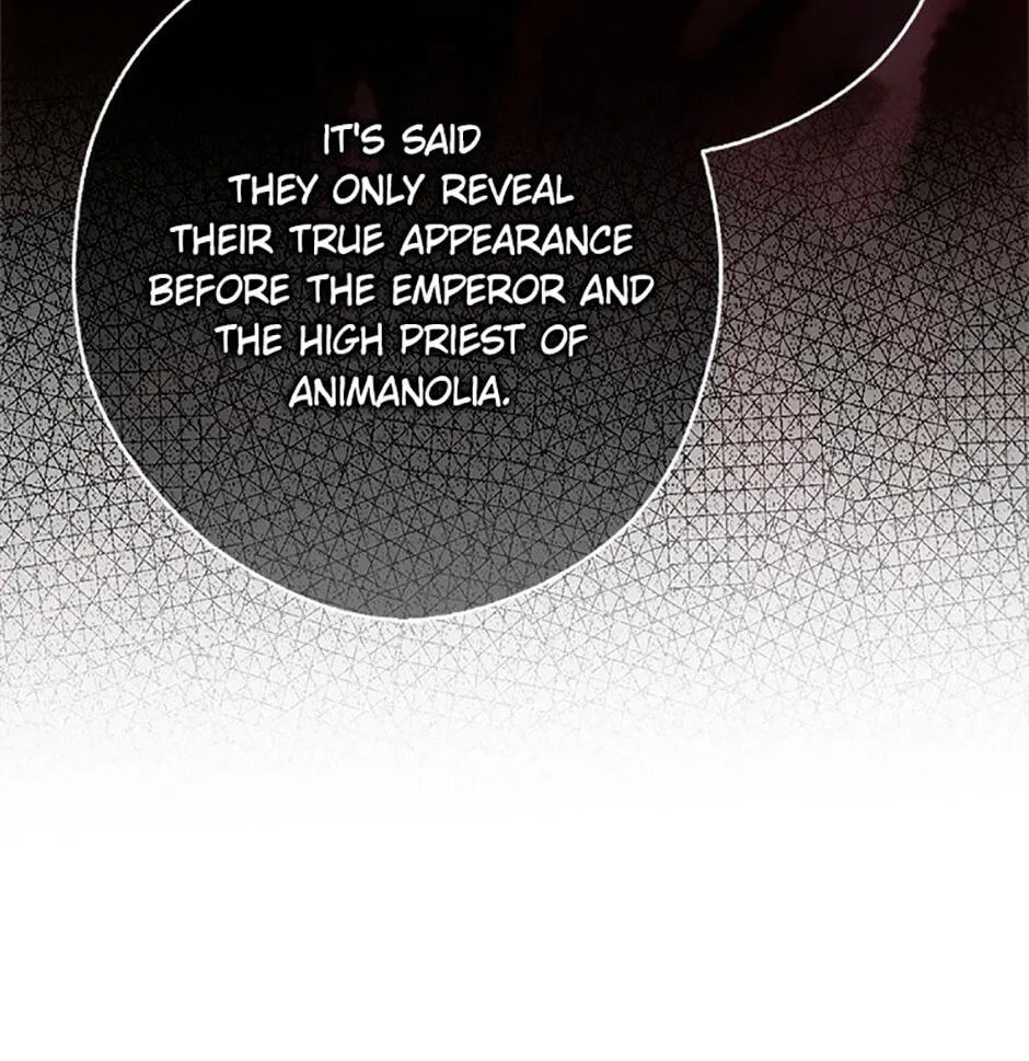 Cinderella's Pocket-Sized Protector Chapter 22 page 92