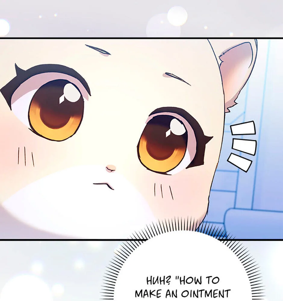 Cinderella's Pocket-Sized Protector Chapter 25 page 49