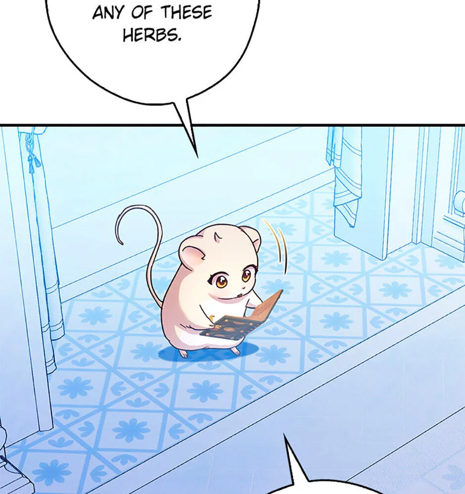 Cinderella's Pocket-Sized Protector Chapter 25 page 51