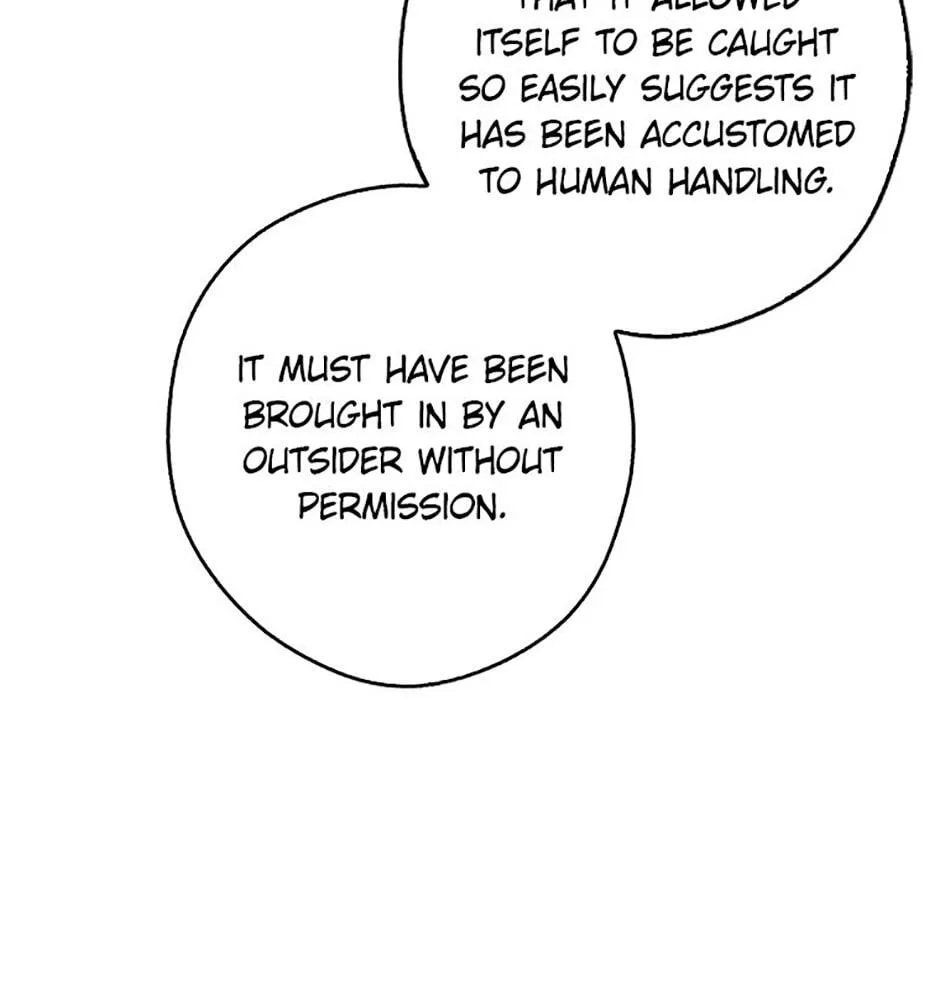 Cinderella's Pocket-Sized Protector Chapter 26 page 67