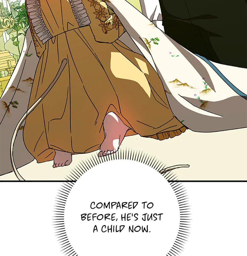 Cinderella's Pocket-Sized Protector Chapter 27 page 13