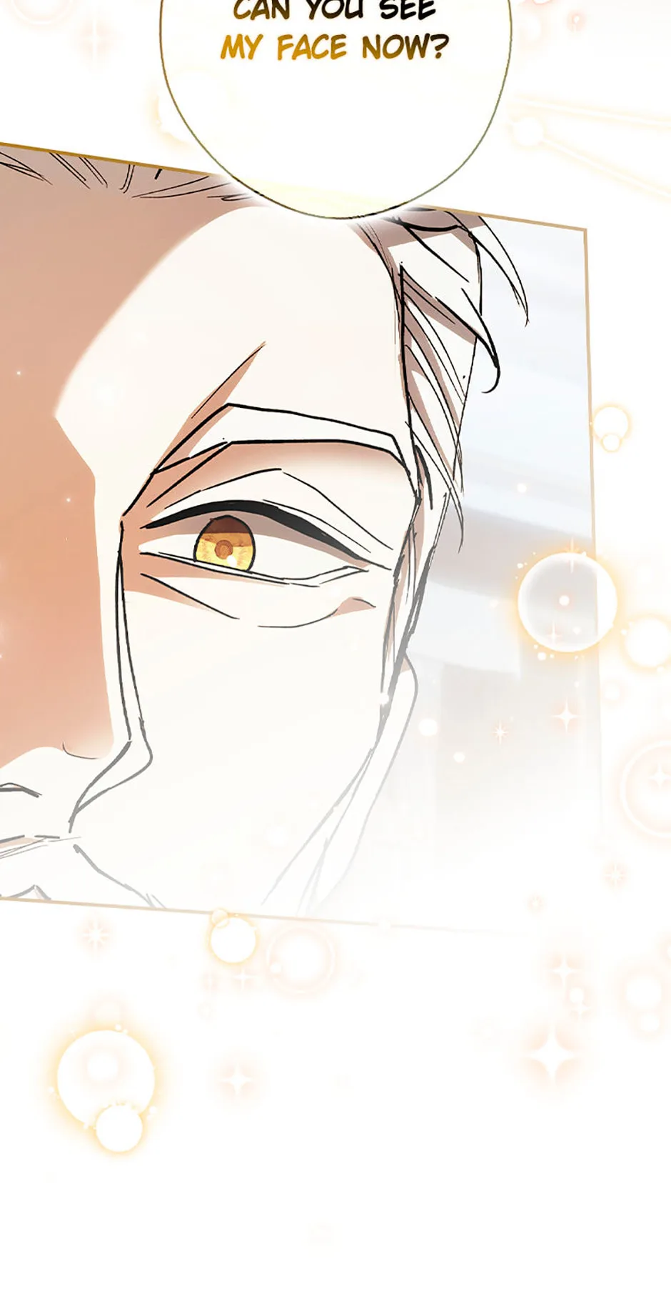 Cinderella's Pocket-Sized Protector Chapter 30 page 30