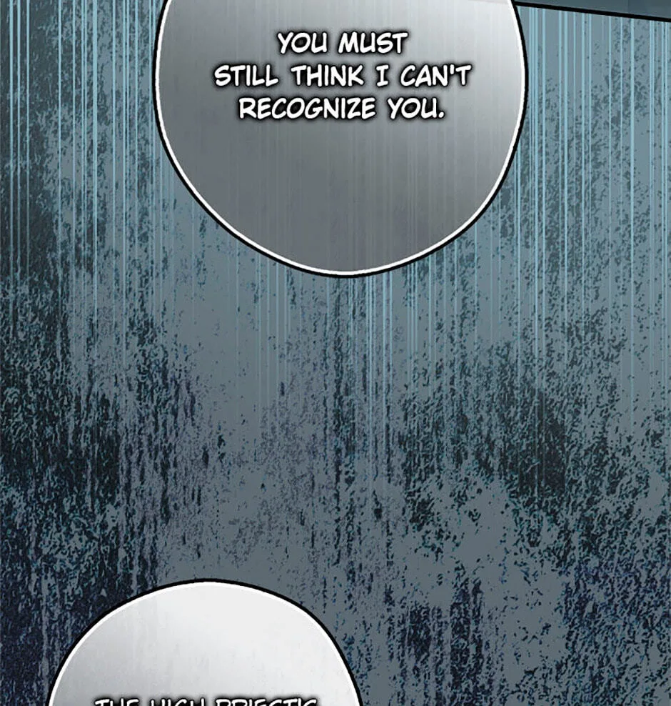 Cinderella's Pocket-Sized Protector Chapter 31 page 17