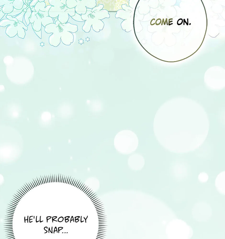 Cinderella's Pocket-Sized Protector Chapter 32 page 12
