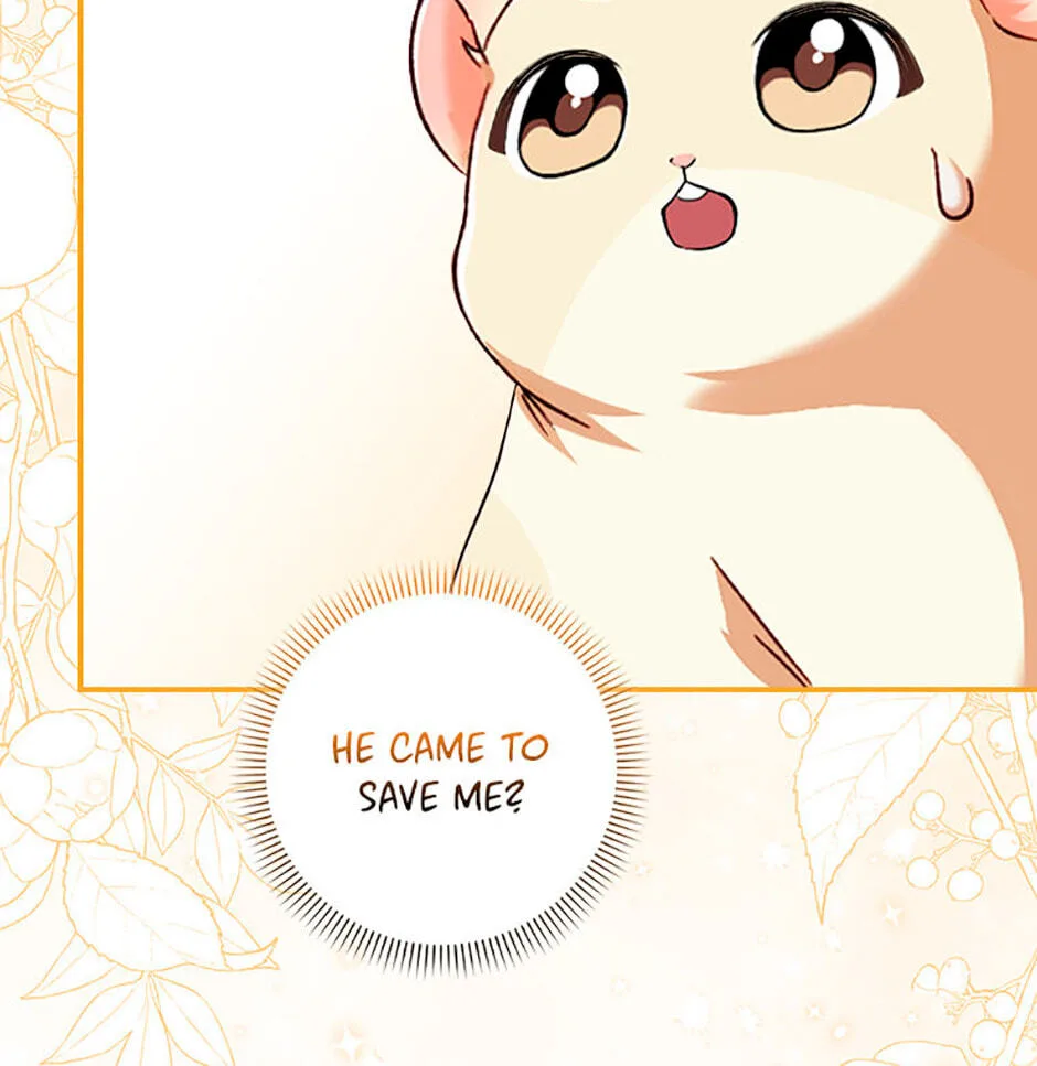 Cinderella's Pocket-Sized Protector Chapter 4 page 93