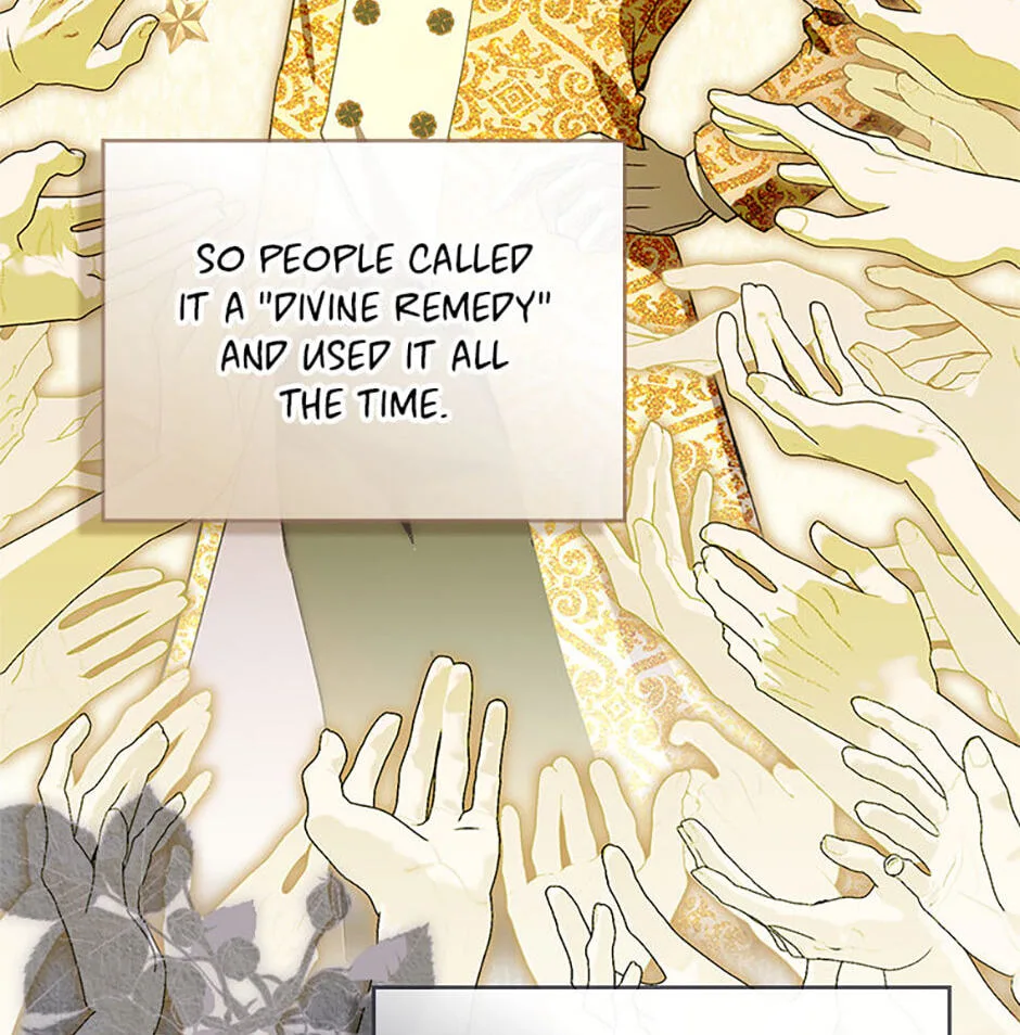 Cinderella's Pocket-Sized Protector Chapter 41 page 8