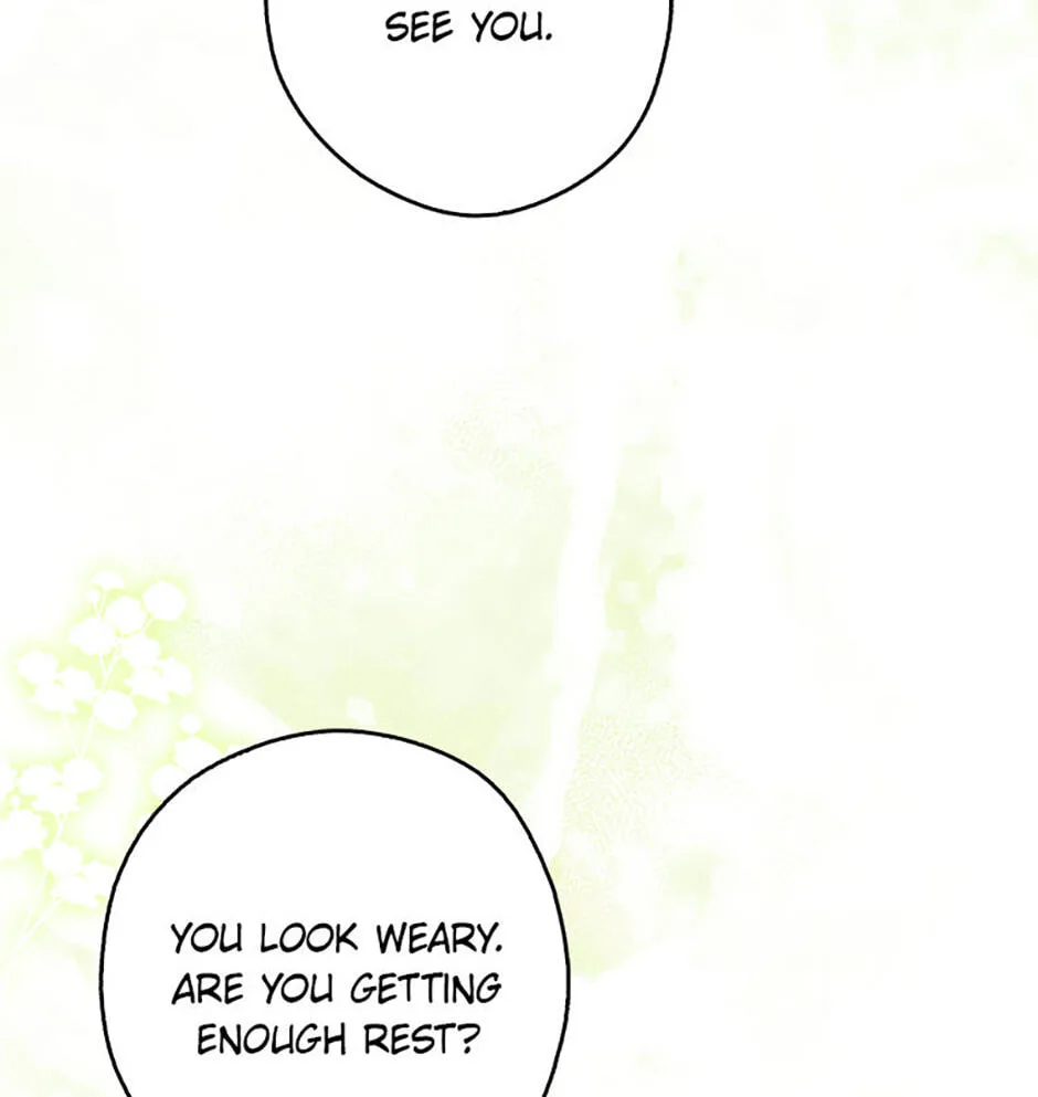 Cinderella's Pocket-Sized Protector Chapter 41 page 69