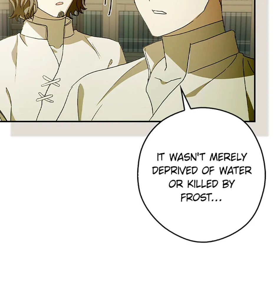 Cinderella's Pocket-Sized Protector Chapter 41 page 103