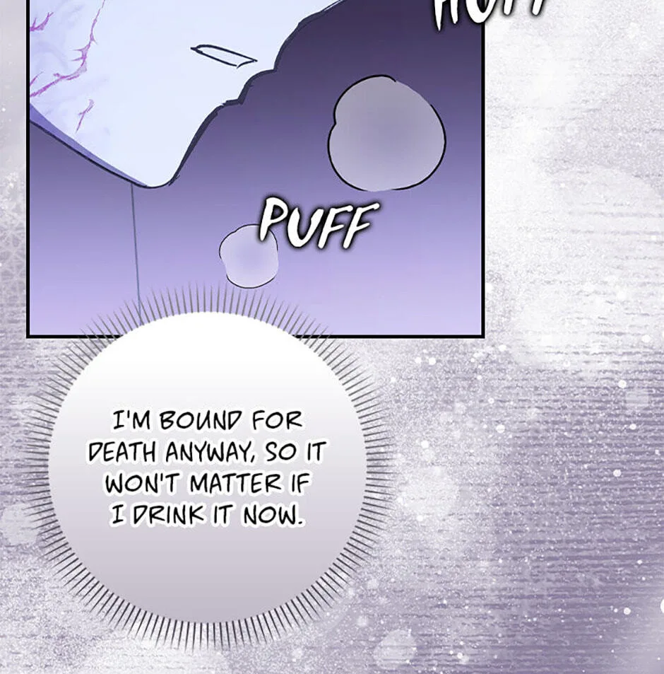Cinderella's Pocket-Sized Protector Chapter 41 page 132