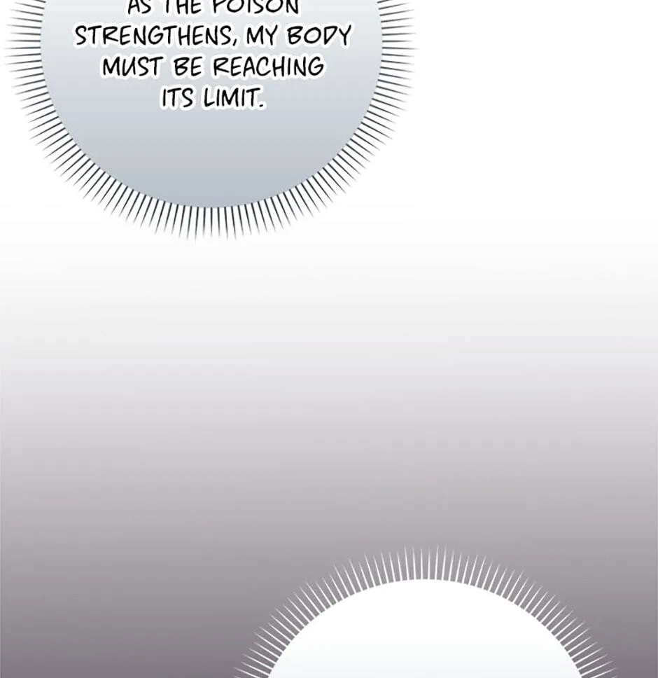 Cinderella's Pocket-Sized Protector Chapter 41 page 118