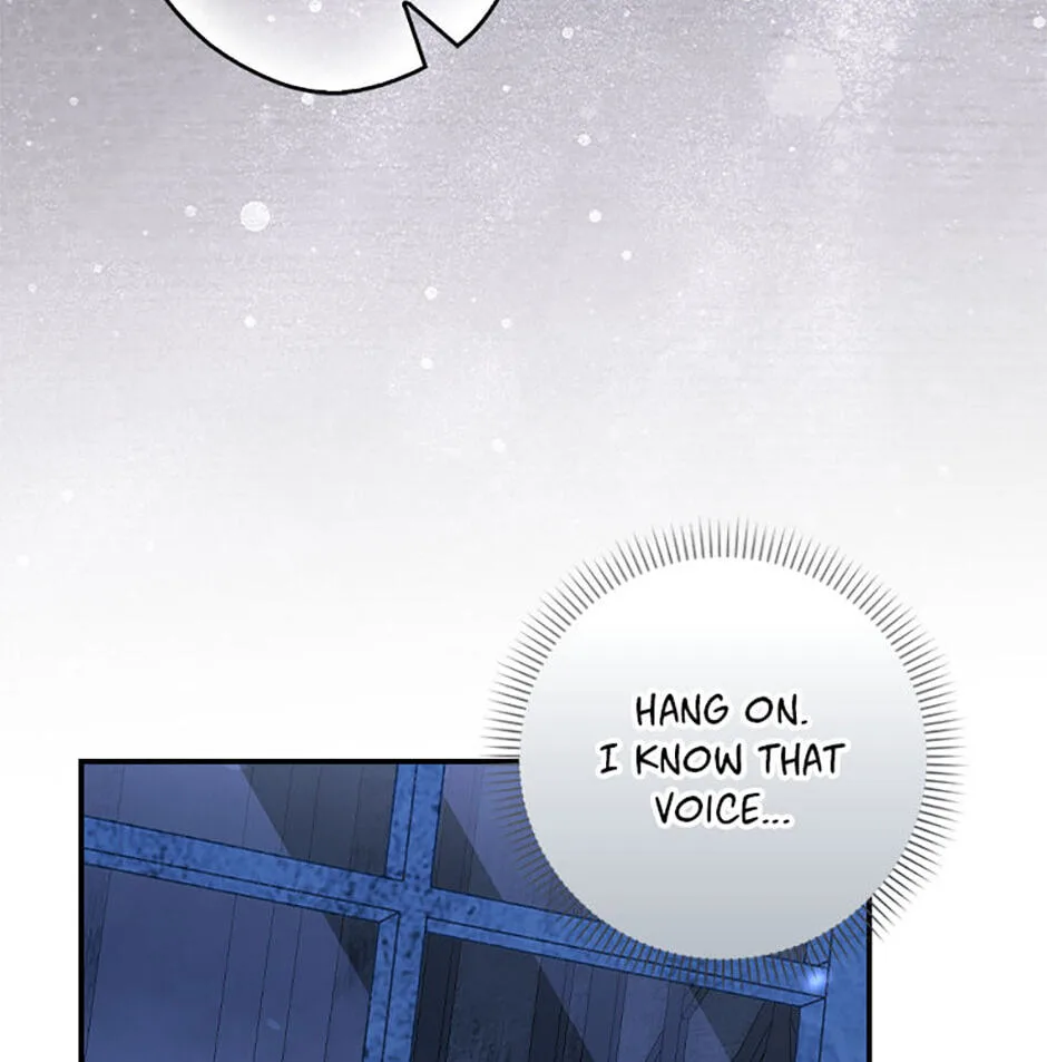 Cinderella's Pocket-Sized Protector Chapter 41 page 135