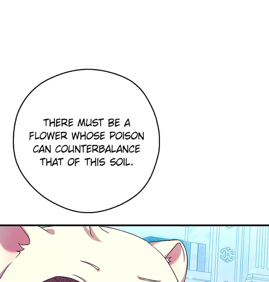 Cinderella's Pocket-Sized Protector Chapter 42 page 17