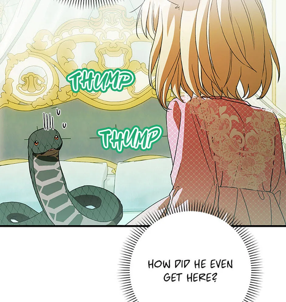 Cinderella's Pocket-Sized Protector Chapter 43 page 11