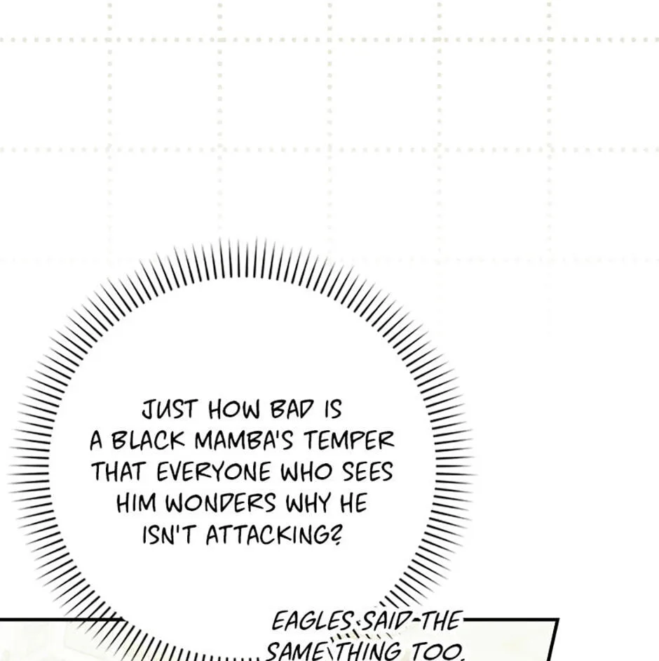 Cinderella's Pocket-Sized Protector Chapter 43 page 79