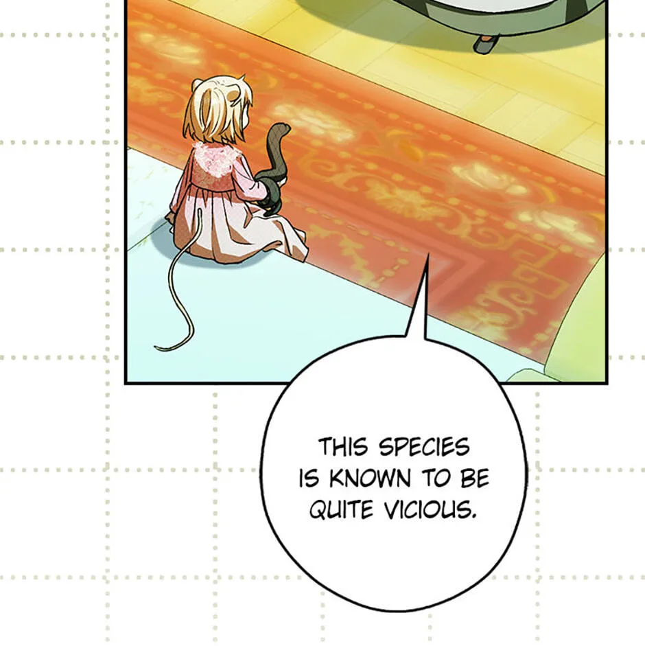 Cinderella's Pocket-Sized Protector Chapter 43 page 78