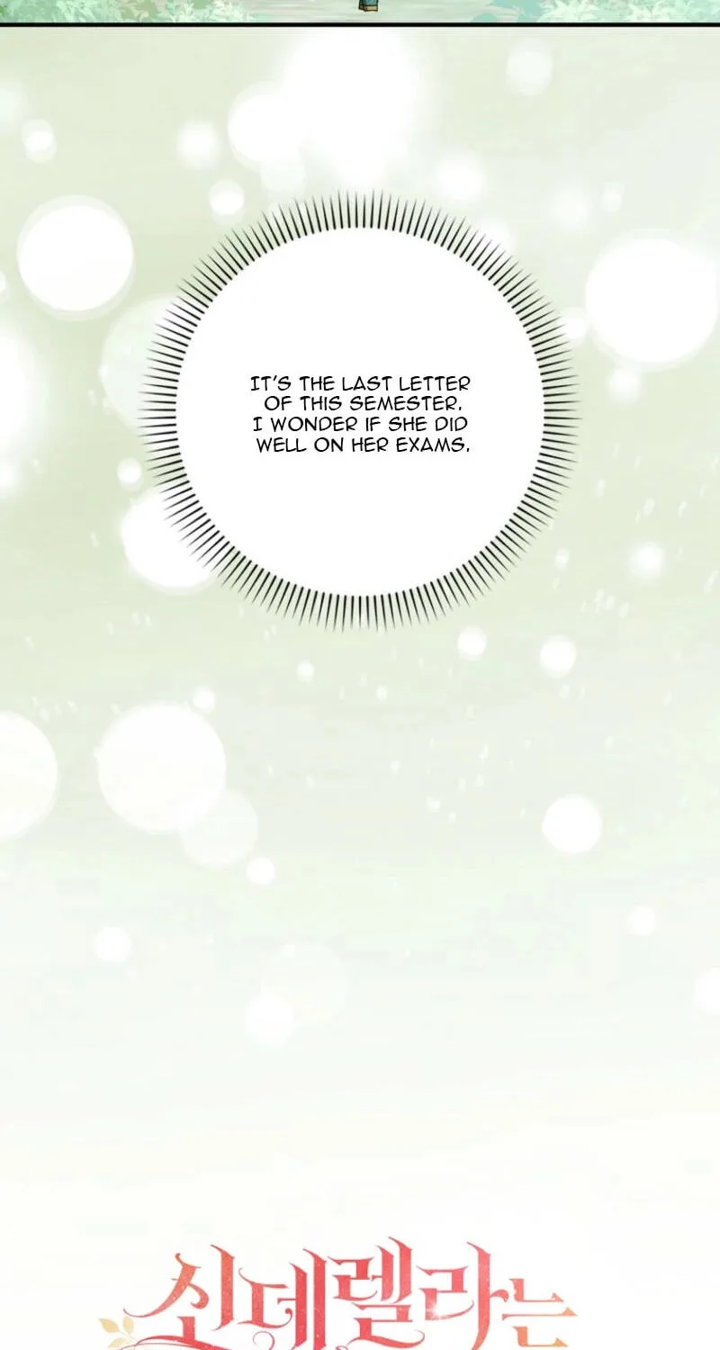 Cinderella's Pocket-Sized Protector Chapter 45 page 10