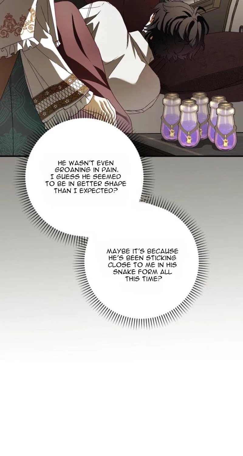 Cinderella's Pocket-Sized Protector Chapter 45 page 5