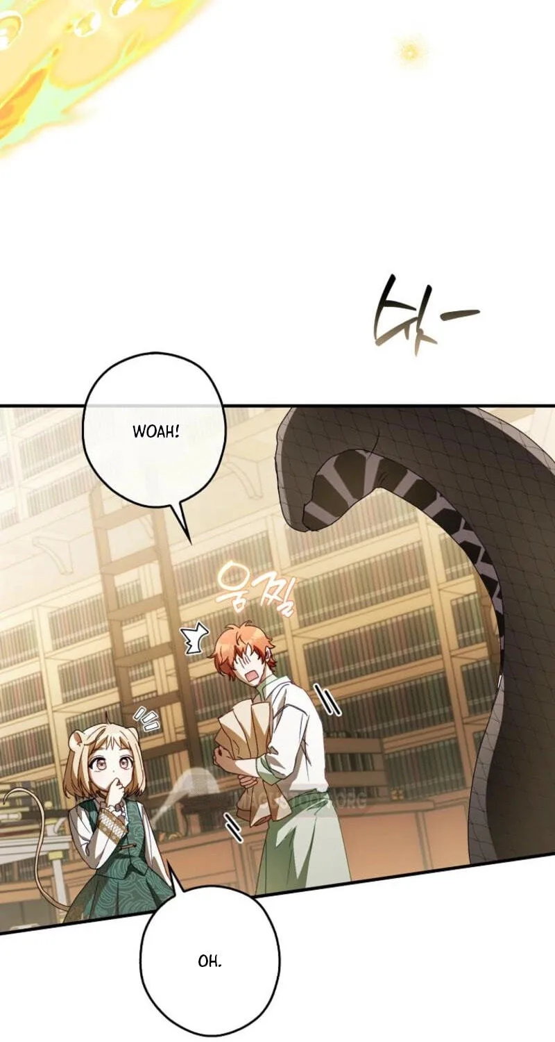Cinderella's Pocket-Sized Protector Chapter 45 page 41