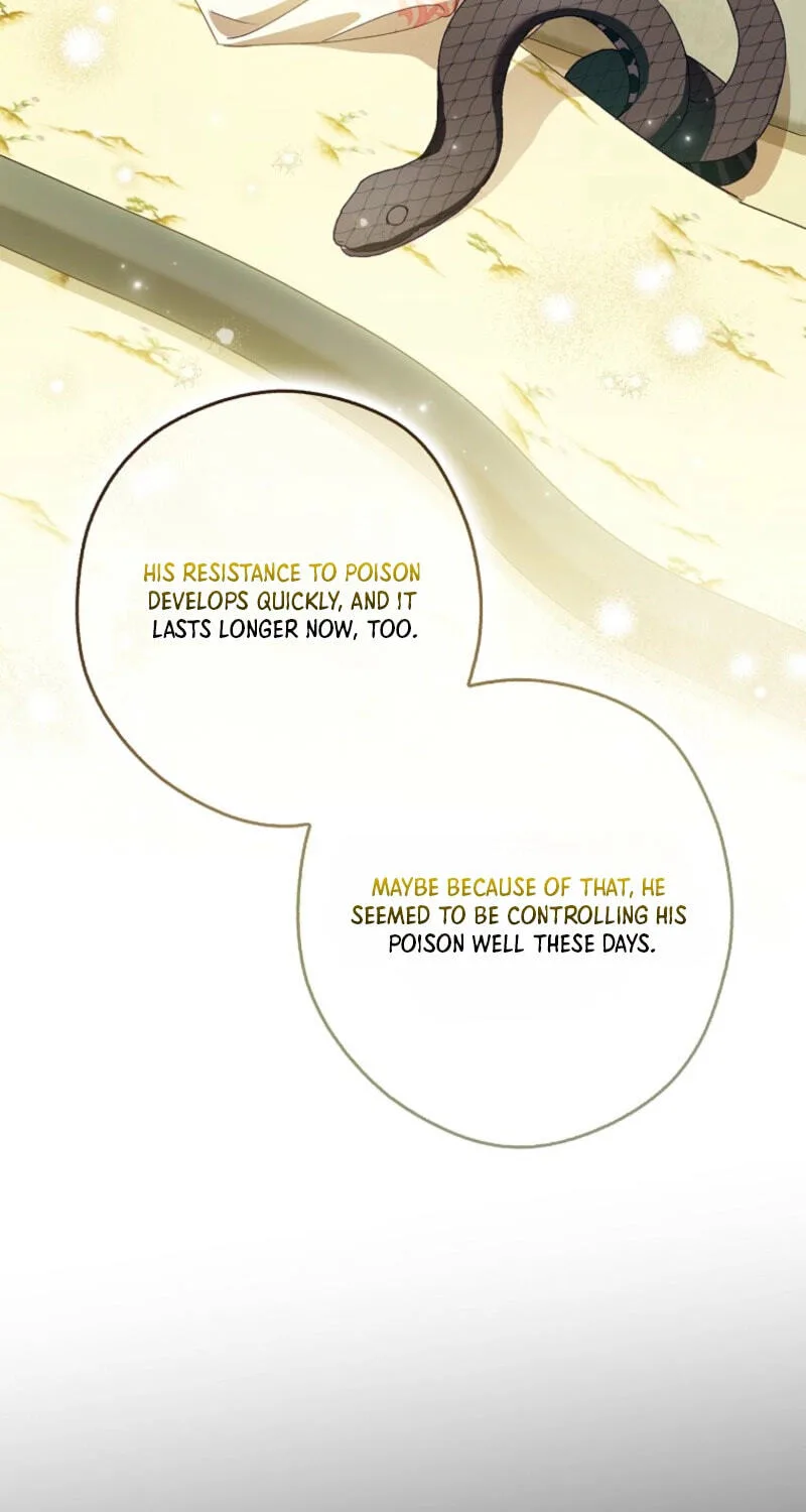 Cinderella's Pocket-Sized Protector Chapter 45 page 85