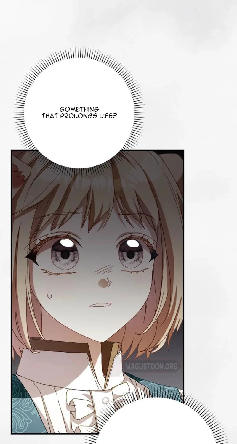 Cinderella's Pocket-Sized Protector Chapter 46 page 14