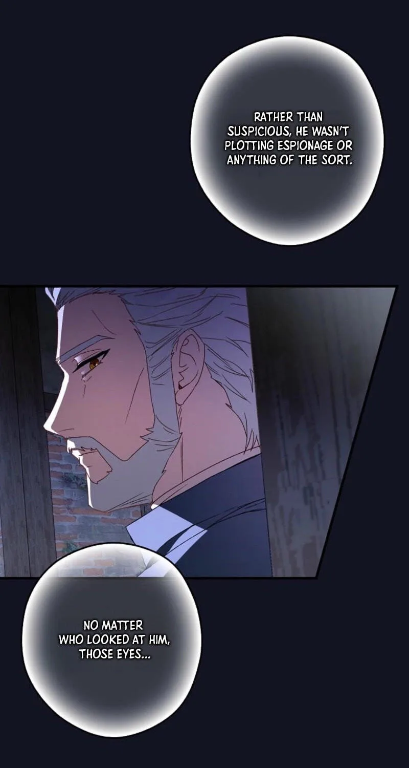 Cinderella's Pocket-Sized Protector Chapter 46 page 41