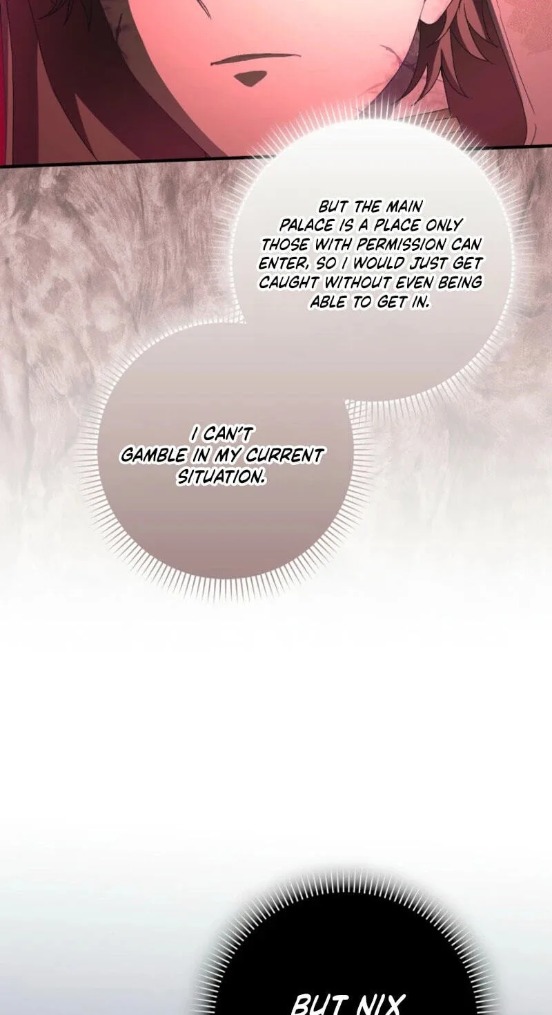 Cinderella's Pocket-Sized Protector Chapter 47 page 13