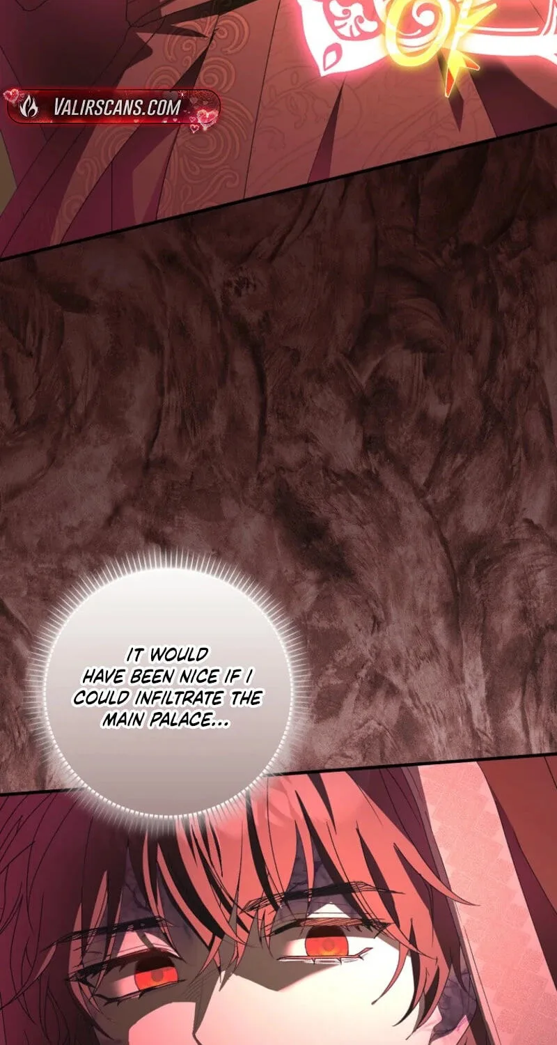 Cinderella's Pocket-Sized Protector Chapter 47 page 12
