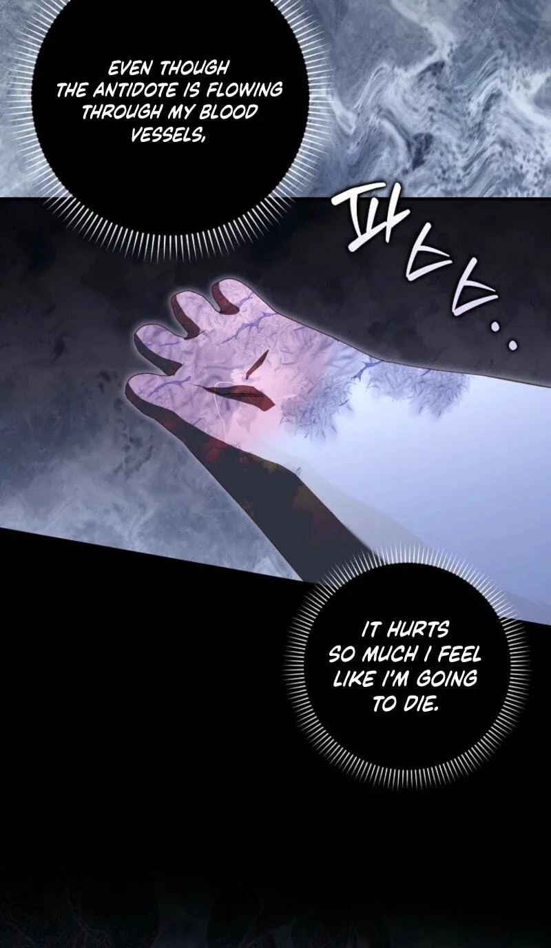 Cinderella's Pocket-Sized Protector Chapter 47 page 84