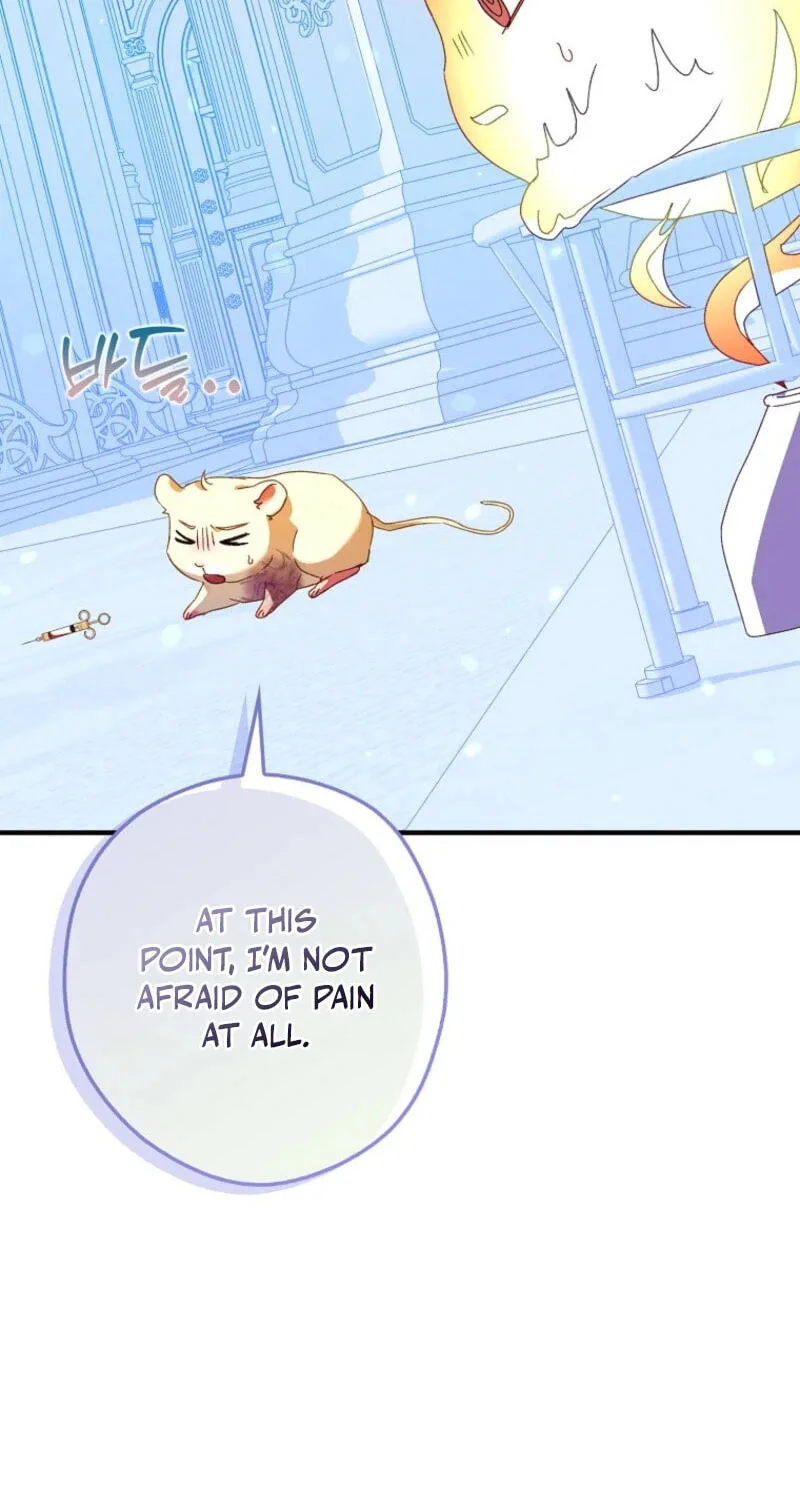 Cinderella's Pocket-Sized Protector Chapter 47 page 90